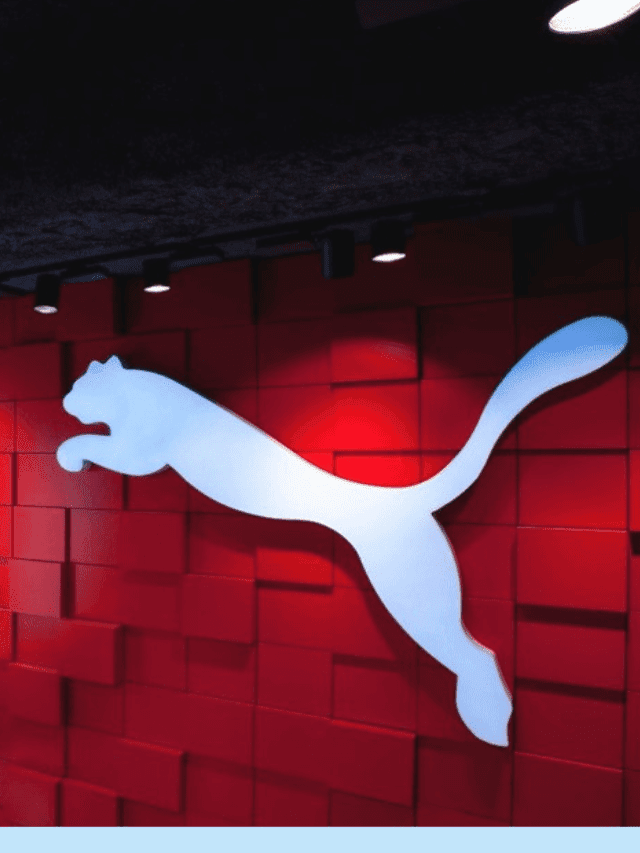 How much cost is required for Puma franchise ?
