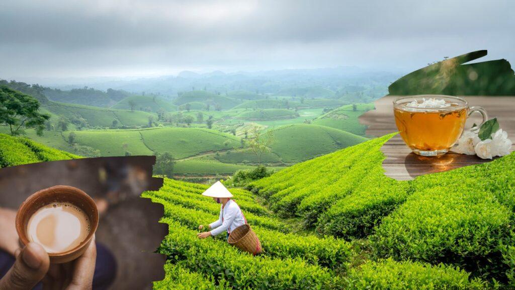 Chai Kings franchise image